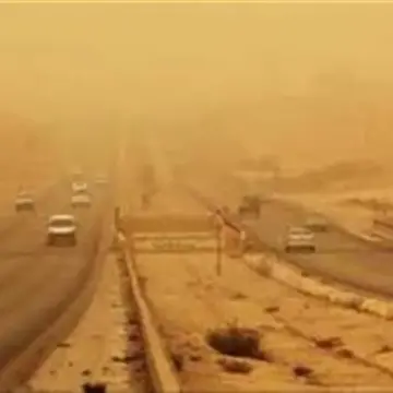 تحذيرات لمرضى الحساسية والجيوب الأنفية.. 20 مدينة تنشط فيها الرمال والأتربة اليوم